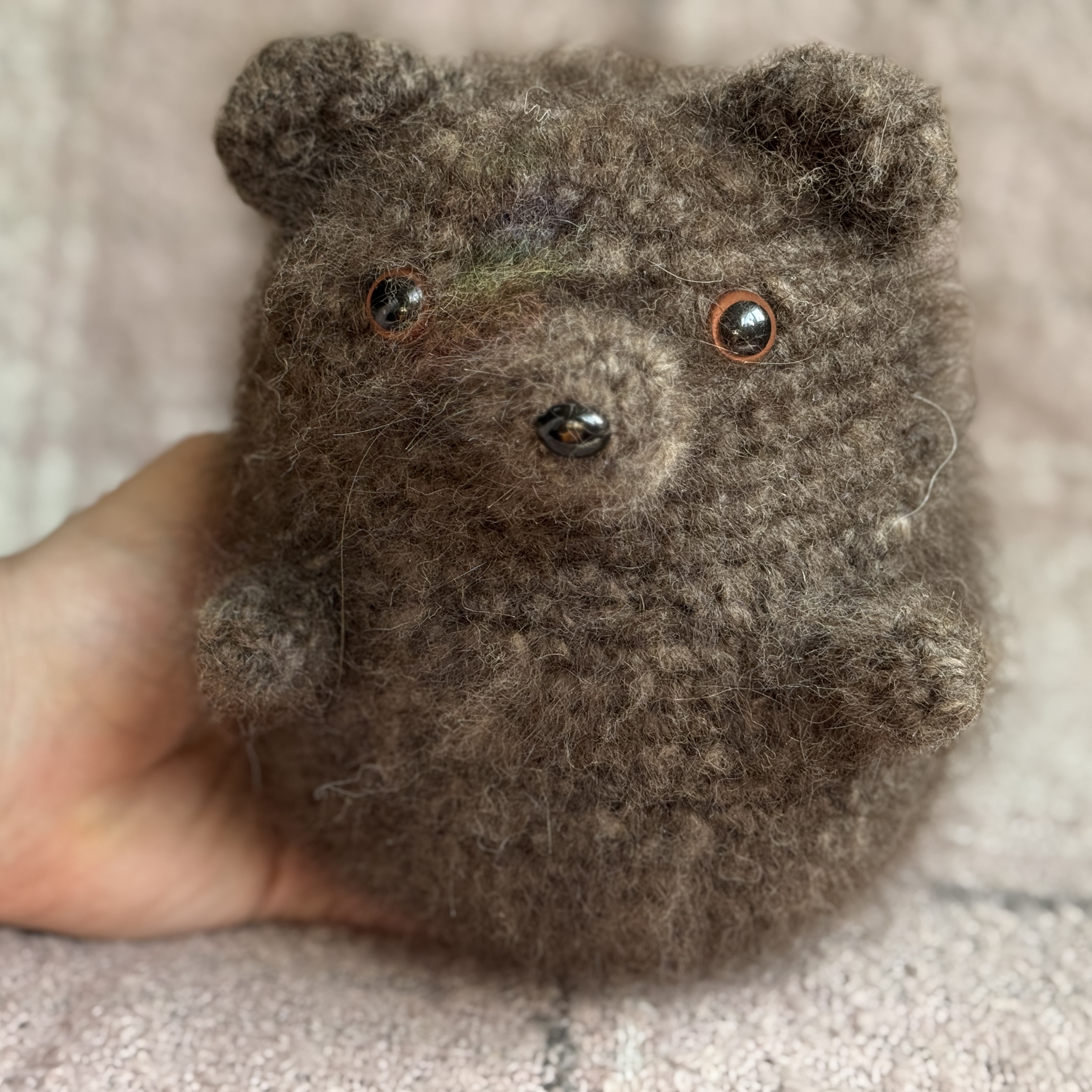 black teddy bear