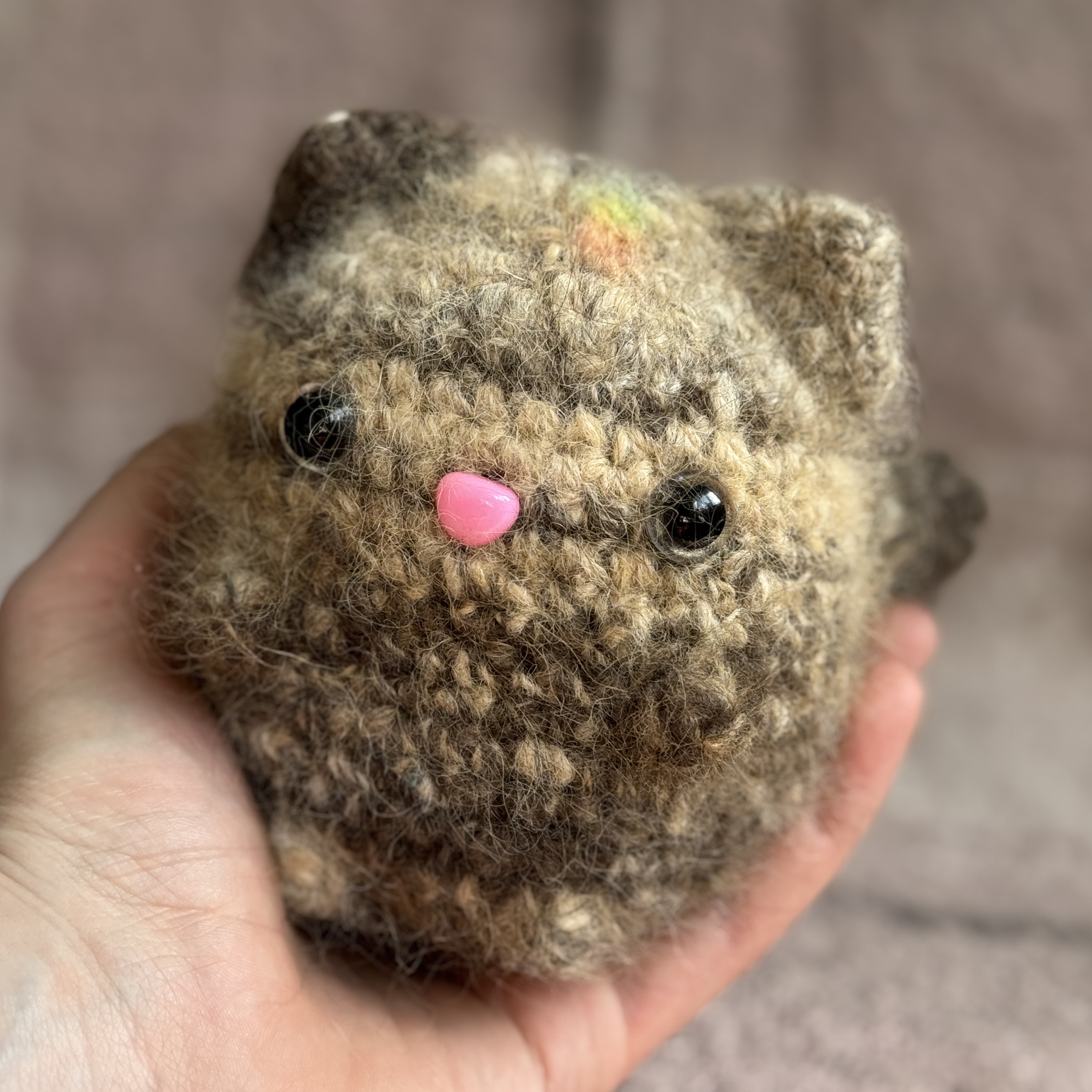 Little kitty