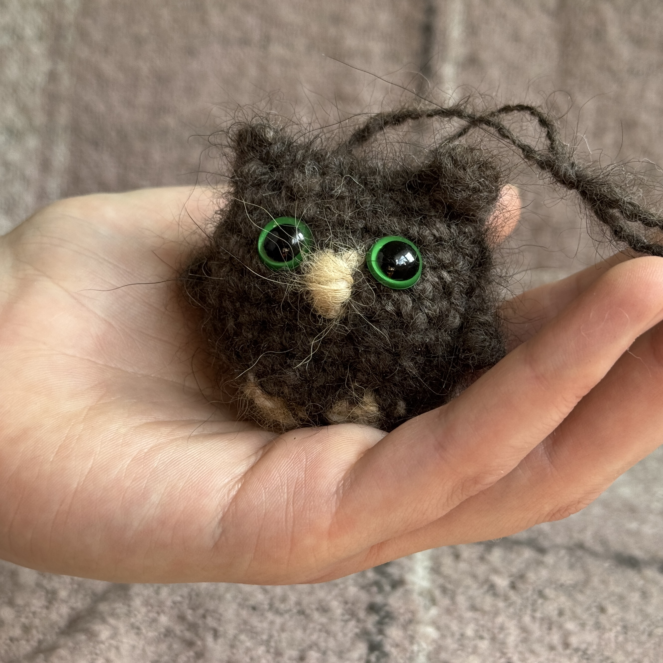owl