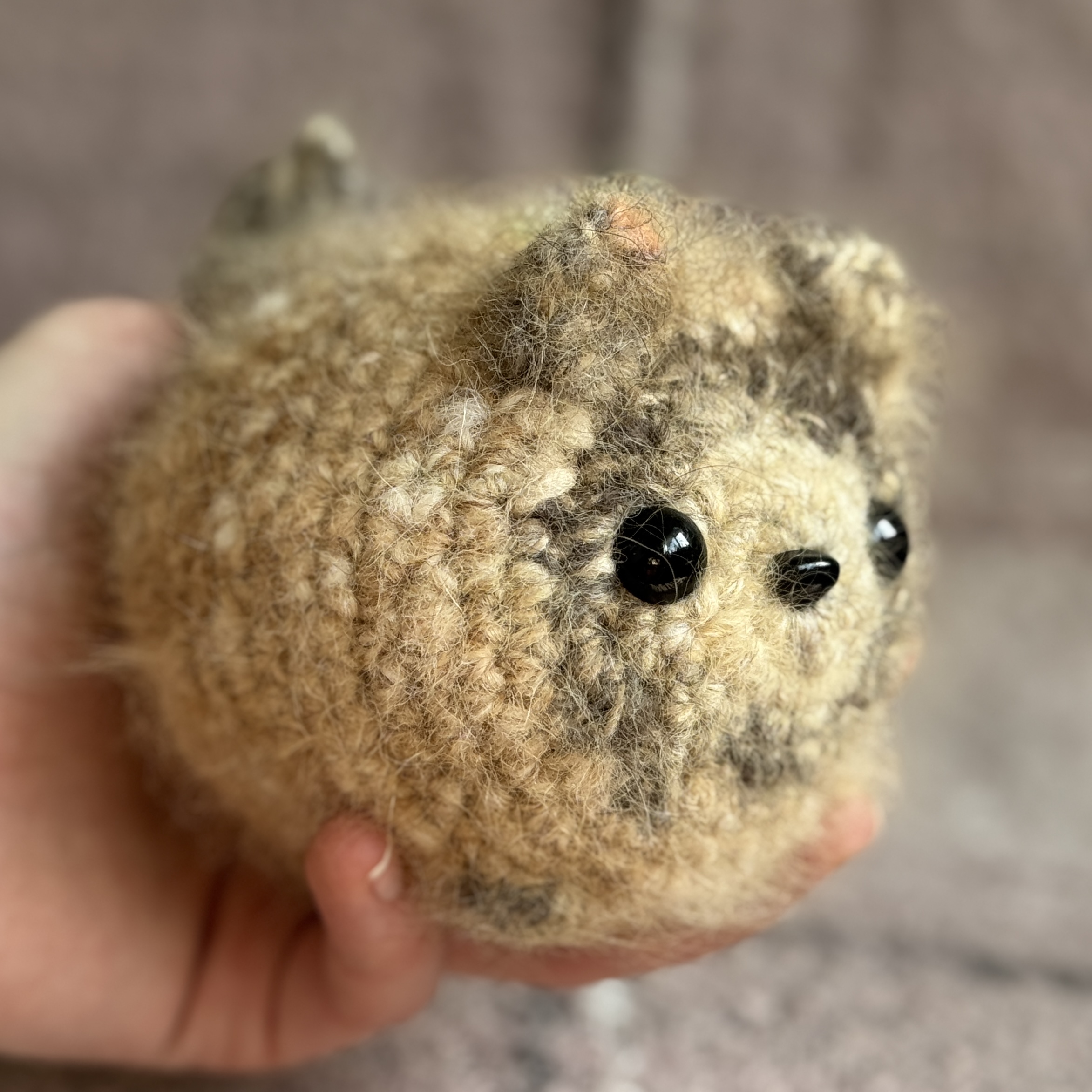 pom